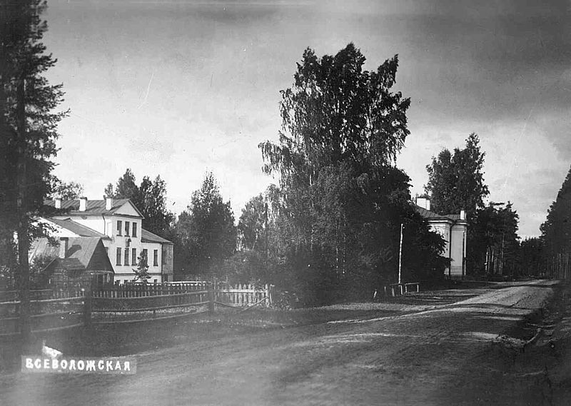 Колтушское шоссе в районе ЦРБ в начале 20 века